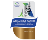 World Stroke Organisation (WSO) Angels Awards 2025
